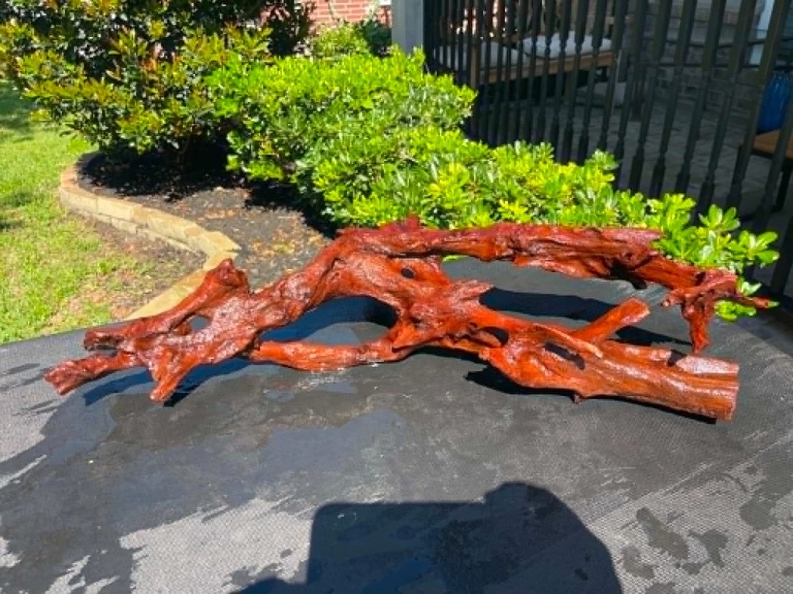 drift wood